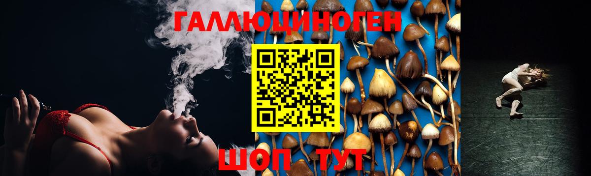 Орёл  Псилоцибиновые грибы MAGIC MUSHROOMS  Псилоцибиновые грибы Psilocybine cubensis  Вход с VPN 